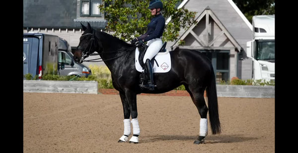 GP Mare Video